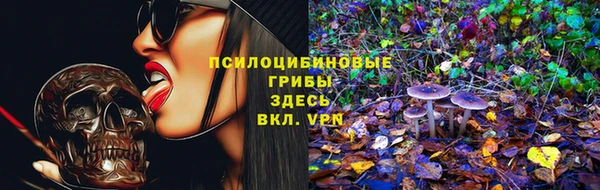дурь Надым